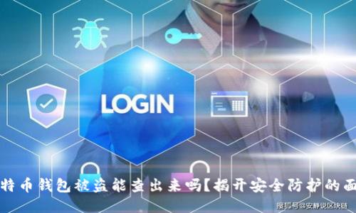 比特币钱包被盗能查出来吗？揭开安全防护的面纱