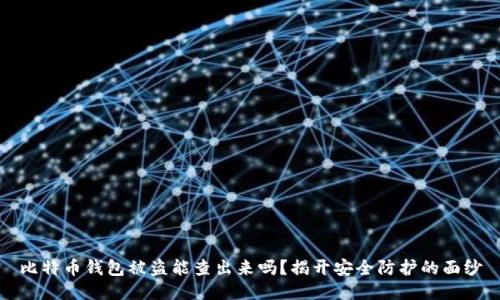 比特币钱包被盗能查出来吗？揭开安全防护的面纱