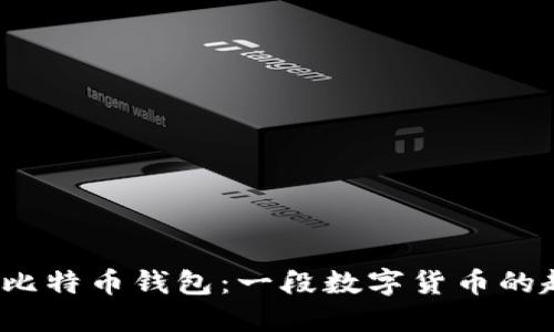 2013年比特币钱包：一段数字货币的起步历程