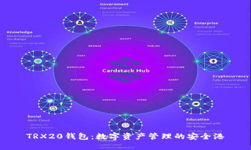 TRX20钱包：数字资产管理的安全港