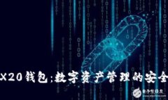 TRX20钱包：数字资产管理的安全港