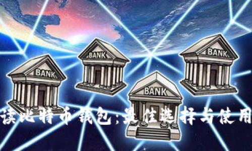 : 解读比特币钱包：最佳选择与使用指南