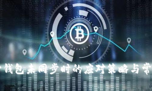 狗狗币核心钱包未同步时的应对策略与常见问题解析