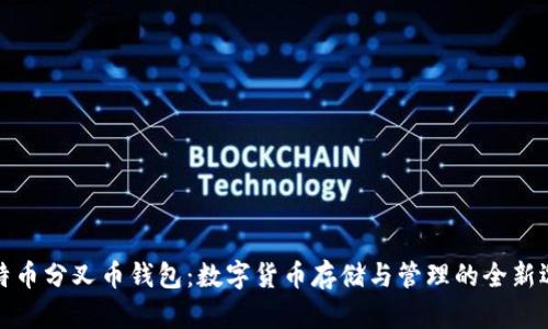 比特币分叉币钱包：数字货币存储与管理的全新选择