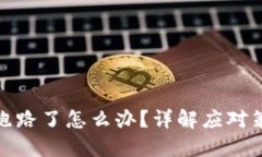 : 比特币钱包跑路了怎么办？详解应对策略与风险