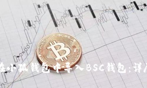 如何在小狐钱包中导入BSC钱包：详尽指南