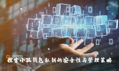 探索小狐钱包私钥的安全性与管理策略