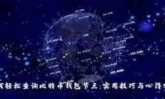 如何轻松查询比特币钱包节点：实用技巧与心得