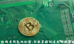 探索比特币钱包的秘密：