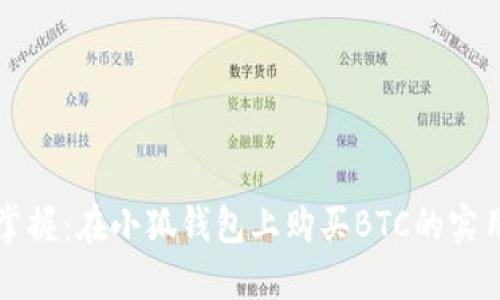 轻松掌握：在小狐钱包上购买BTC的实用指南