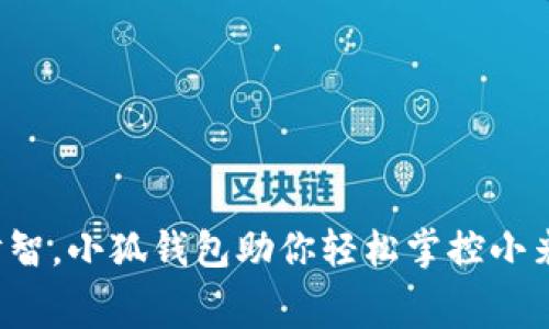 释放财智，小狐钱包助你轻松掌控小米消费！