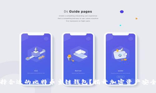 如何选择合适的比特币主链钱包？揭开加密资产安全的秘密