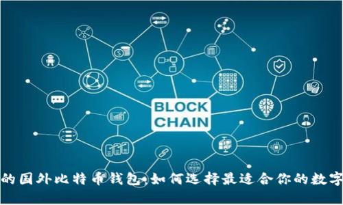 揭秘最受欢迎的国外比特币钱包：如何选择最适合你的数字资产存储方案