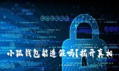 小狐钱包能造假吗？揭开