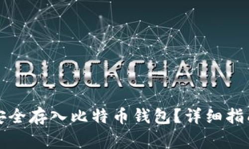 如何将美元安全存入比特币钱包？详细指南与注意事项