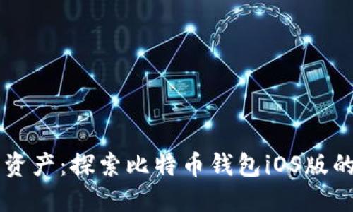 掌握数字资产：探索比特币钱包iOS版的全面指南