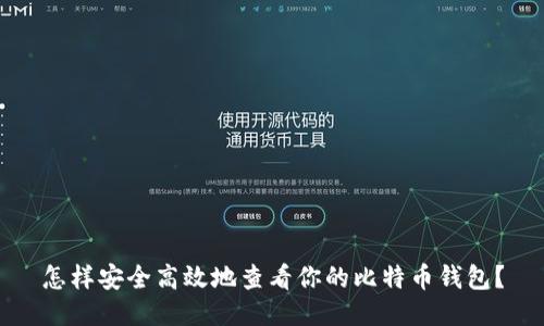 怎样安全高效地查看你的比特币钱包？