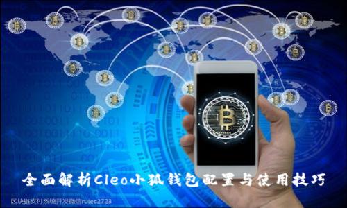 全面解析Cleo小狐钱包配置与使用技巧