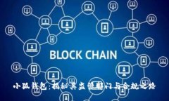 小狐钱包：揭秘其监管部