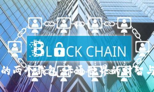 小狐的两个钱包：卡通世界的财智与魅力