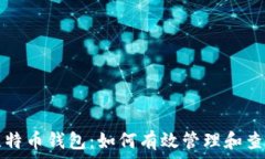   深入了解比特币钱包：如