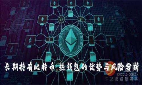 长期持有比特币：热钱包的优势与风险分析